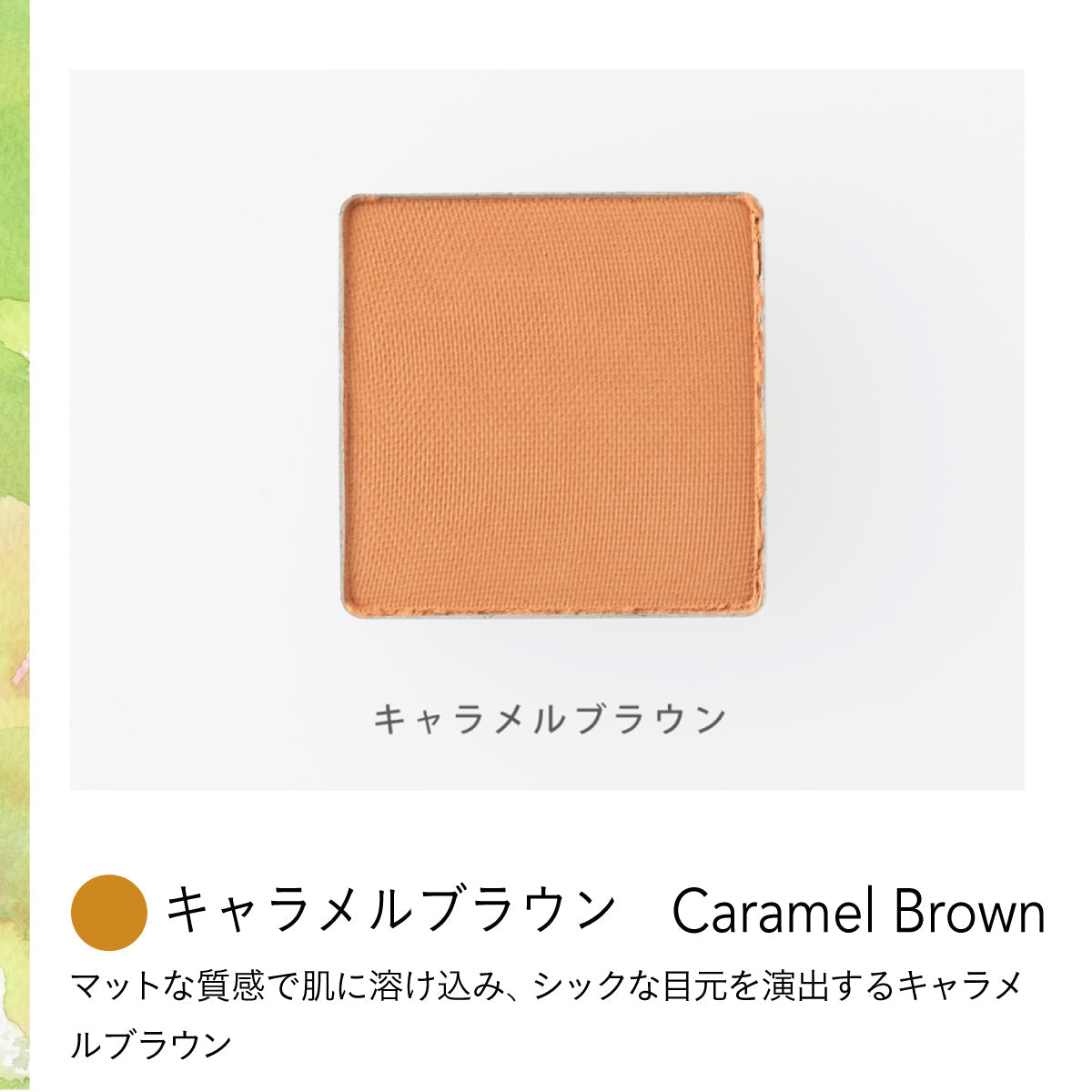luamo アイカラー4色木製パレットケヤキ(茶)セット