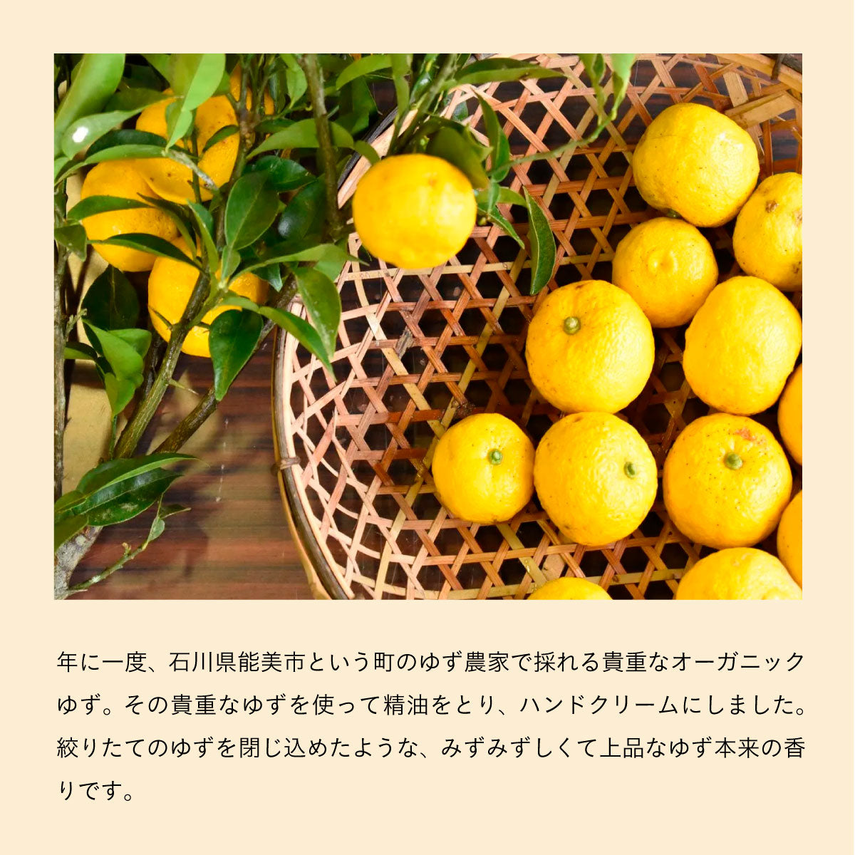 WANOWA オーガニックハンドクリーム 国造ゆず 30g