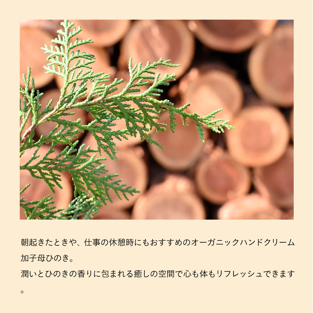 WANOWA オーガニックハンドクリーム 加子母ひのき 30g