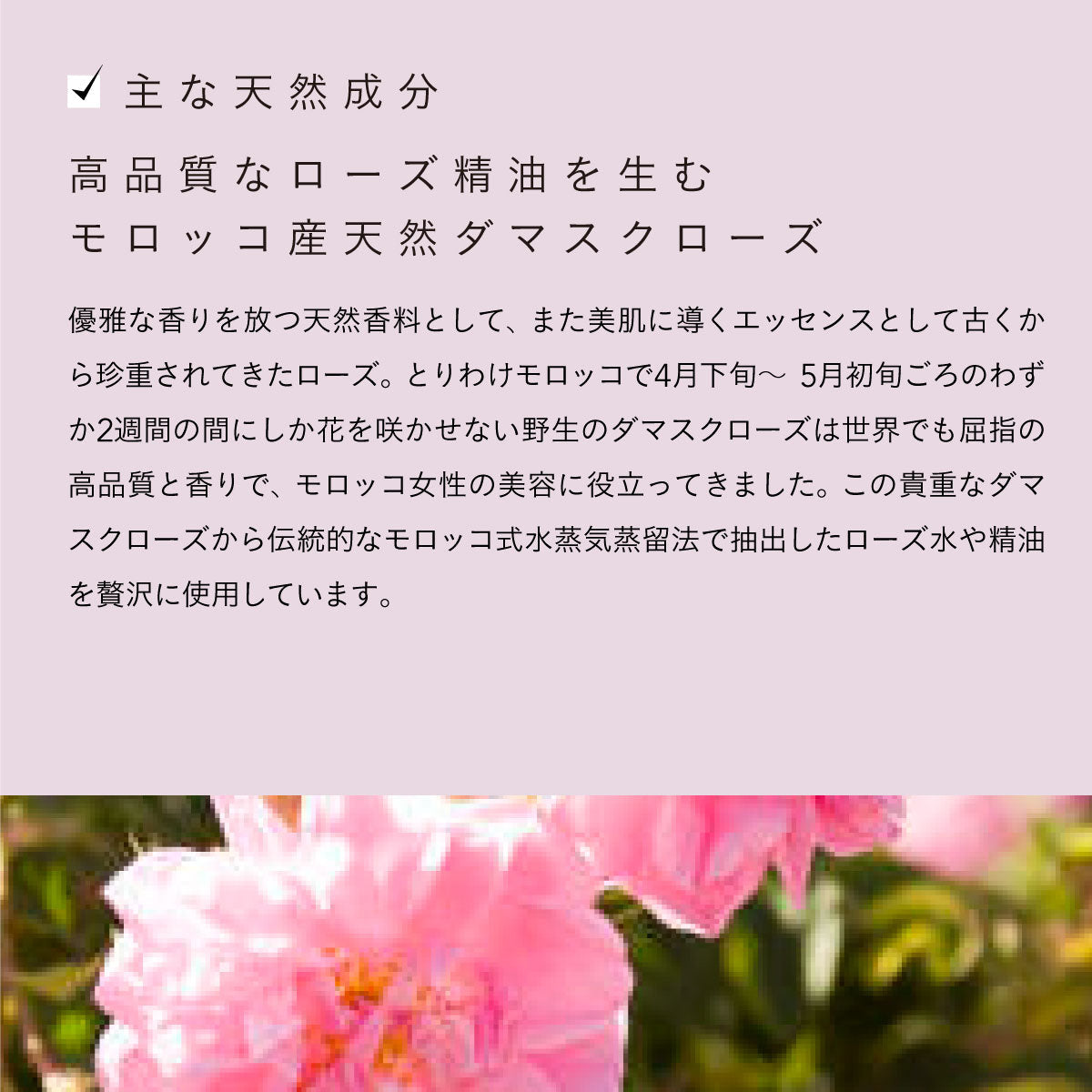 Rose de Marrakech モイスチャークリームローズ 100ml