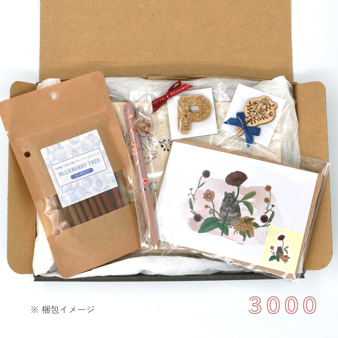 Gift Set 3000