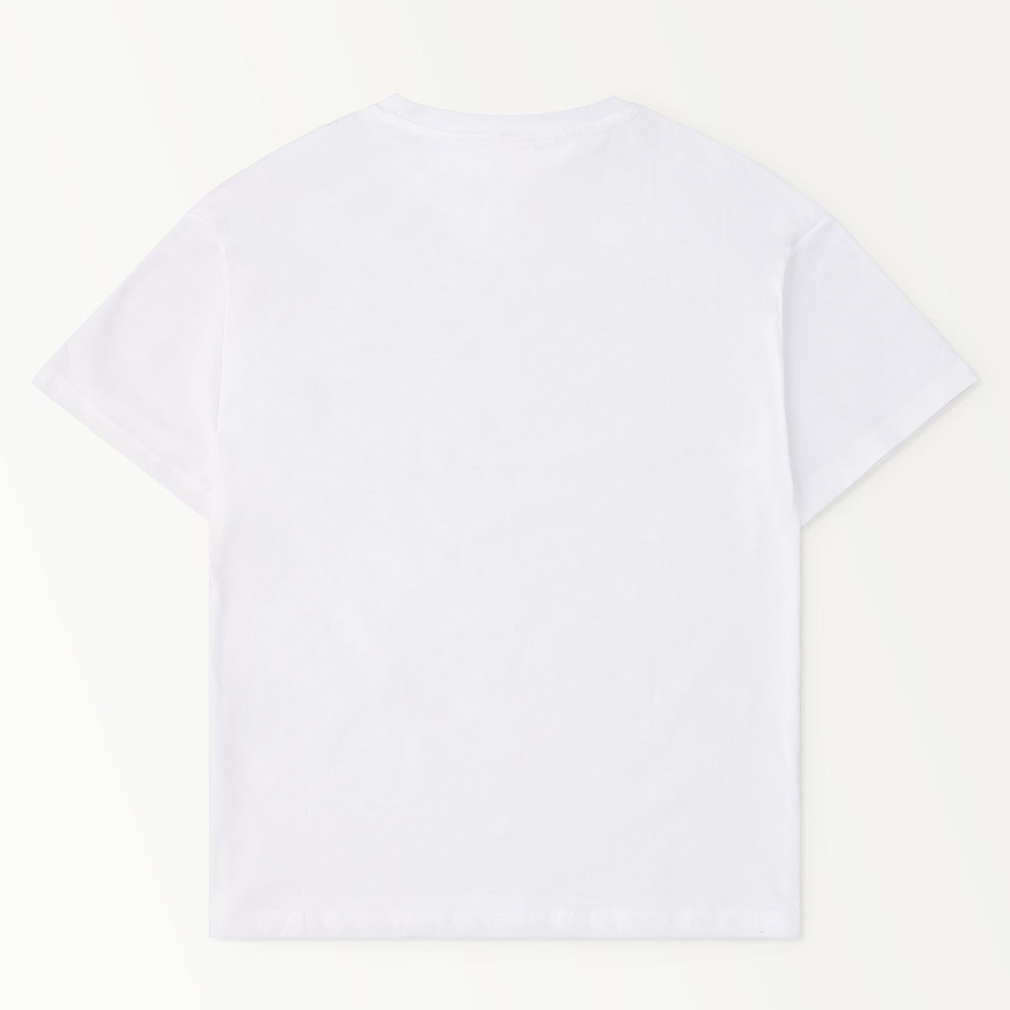 BAG-Logo-T