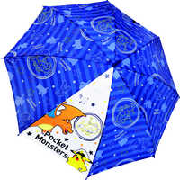 55cm Long Type Umbrella / 55cm ロング傘