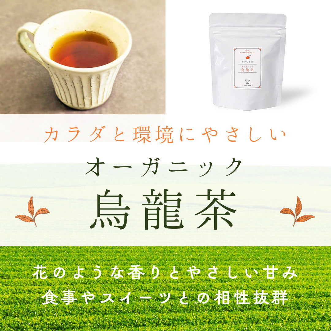 CHANOARL 至福のひととき 有機JASオーガニック烏龍茶 ティーバッグ