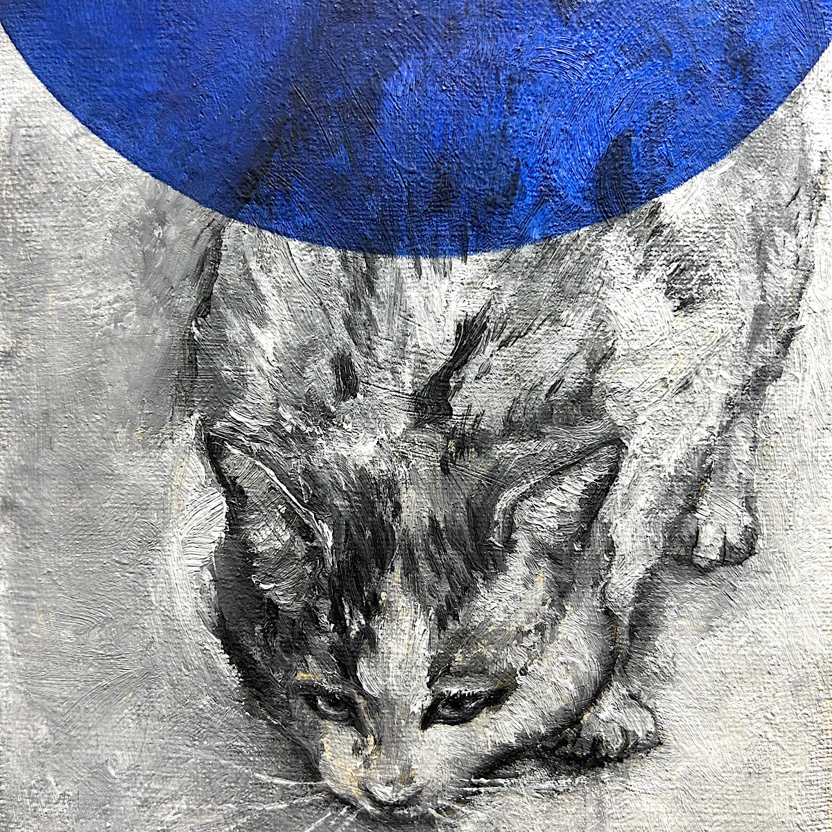 【絵画】井上 暁登（Akito INOUE)「思案は猫と飛ぶ」