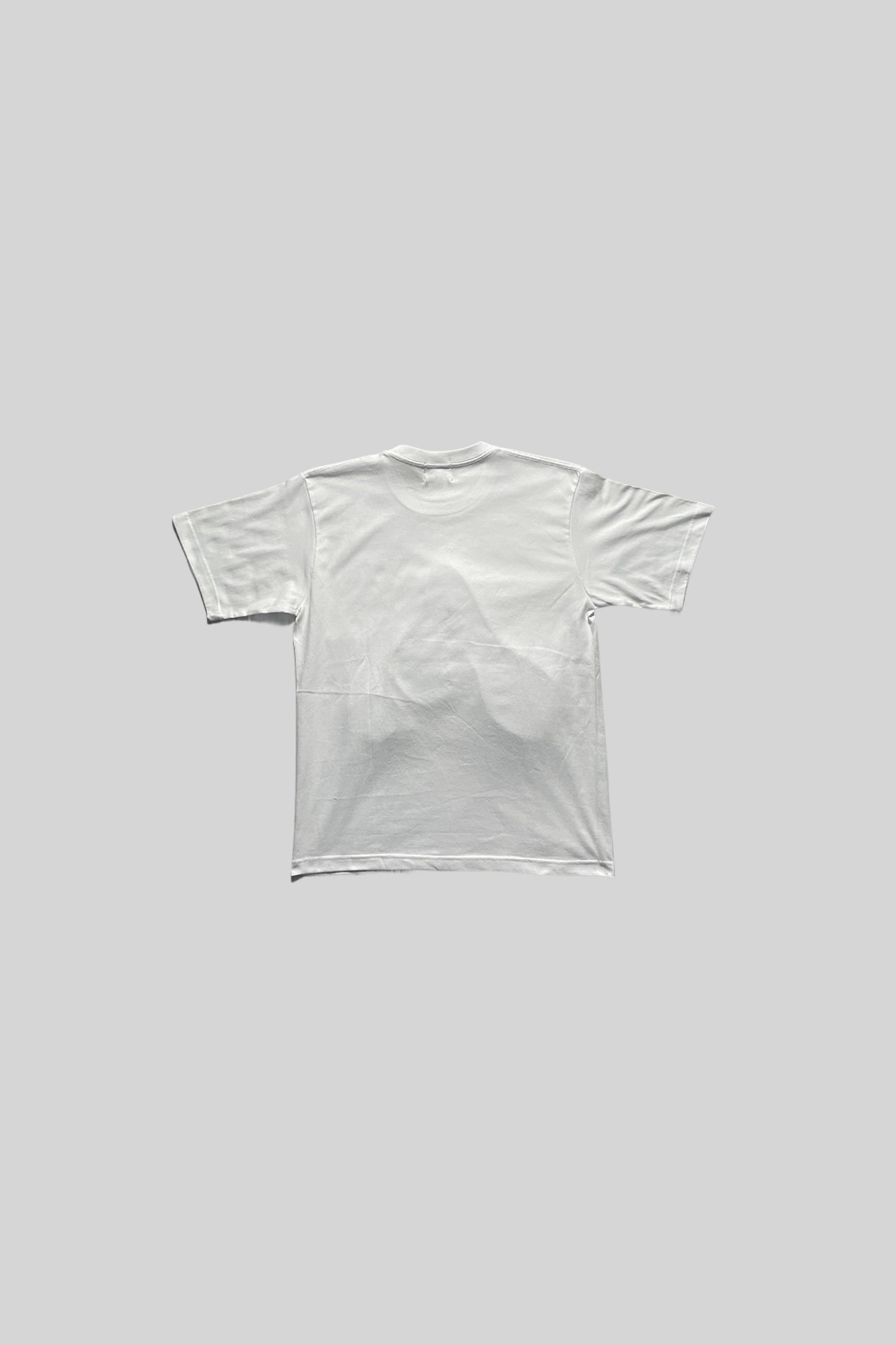 "A" LOGO TEE(BOA LEOPARD)