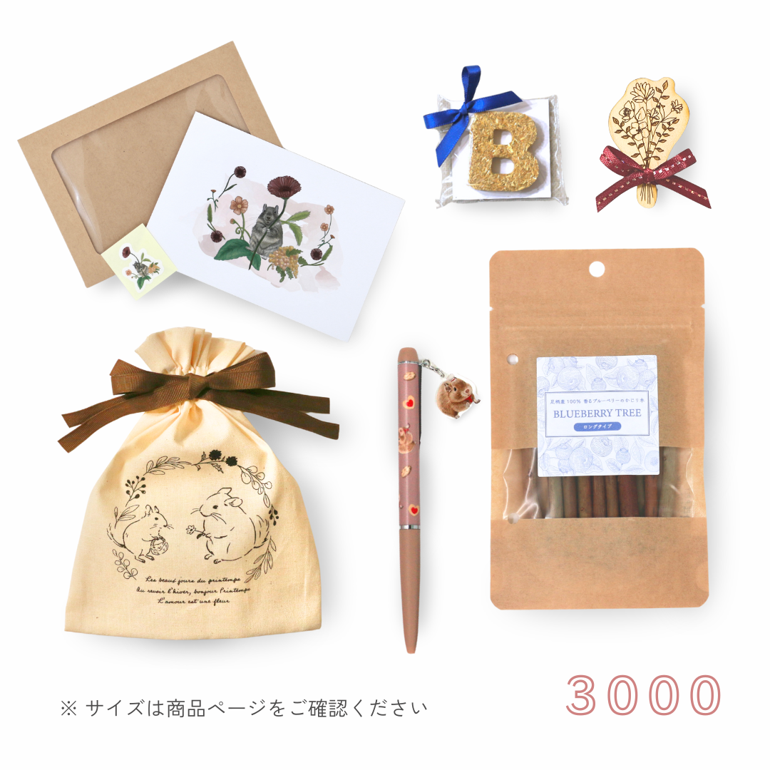 Gift Set 3000