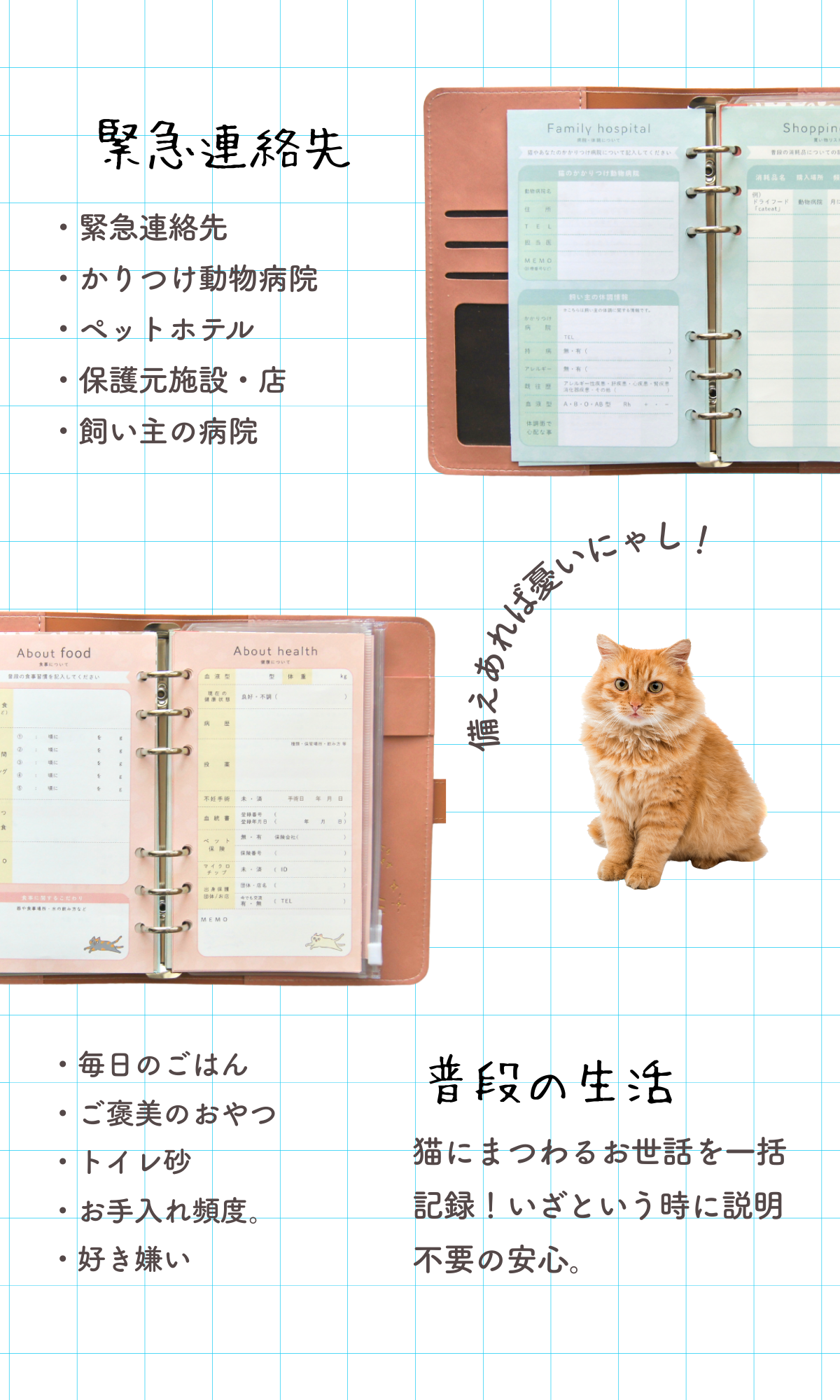 Cat Help Notebook (Binder Style) | All your cat's medical visits and health management in one book | Cat Health Management Notebook
