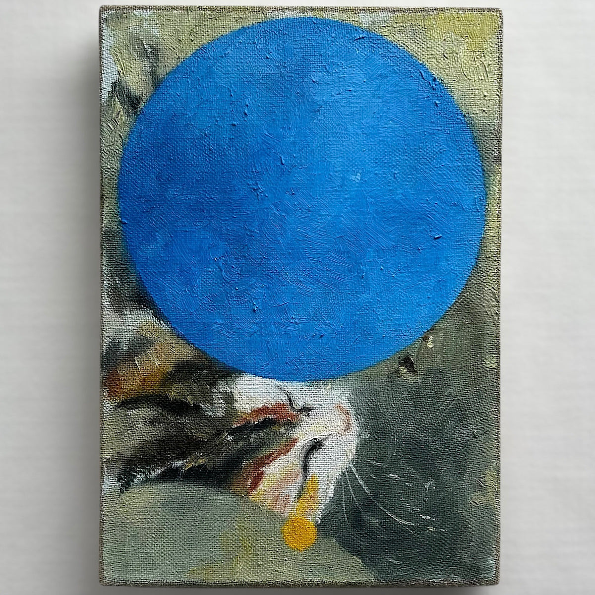 【絵画】井上 暁登（Akito INOUE）「猫は瞑想するか」