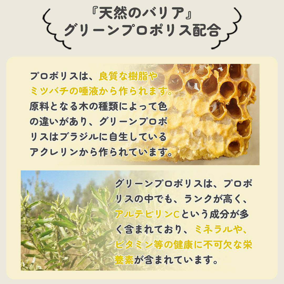 マヌカハニーのど飴（3袋より購入可能）