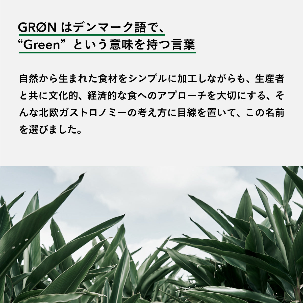 GRON プロテインブレンド (抹茶オールスターズ) 240g
