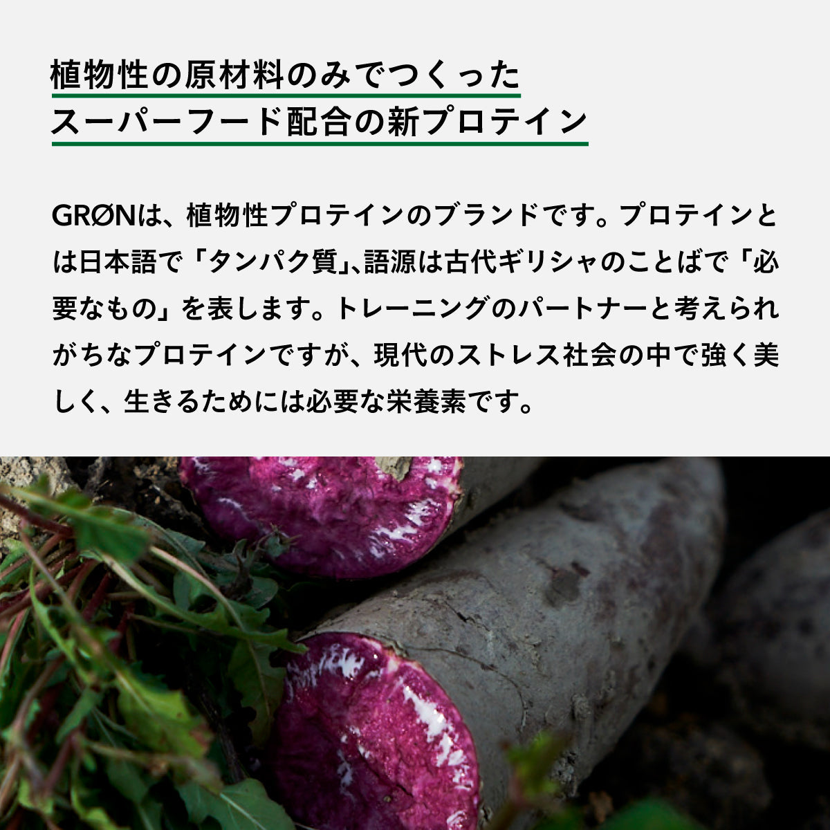GRON プロテインブレンド (ゴールデンウォーリアー) 20g