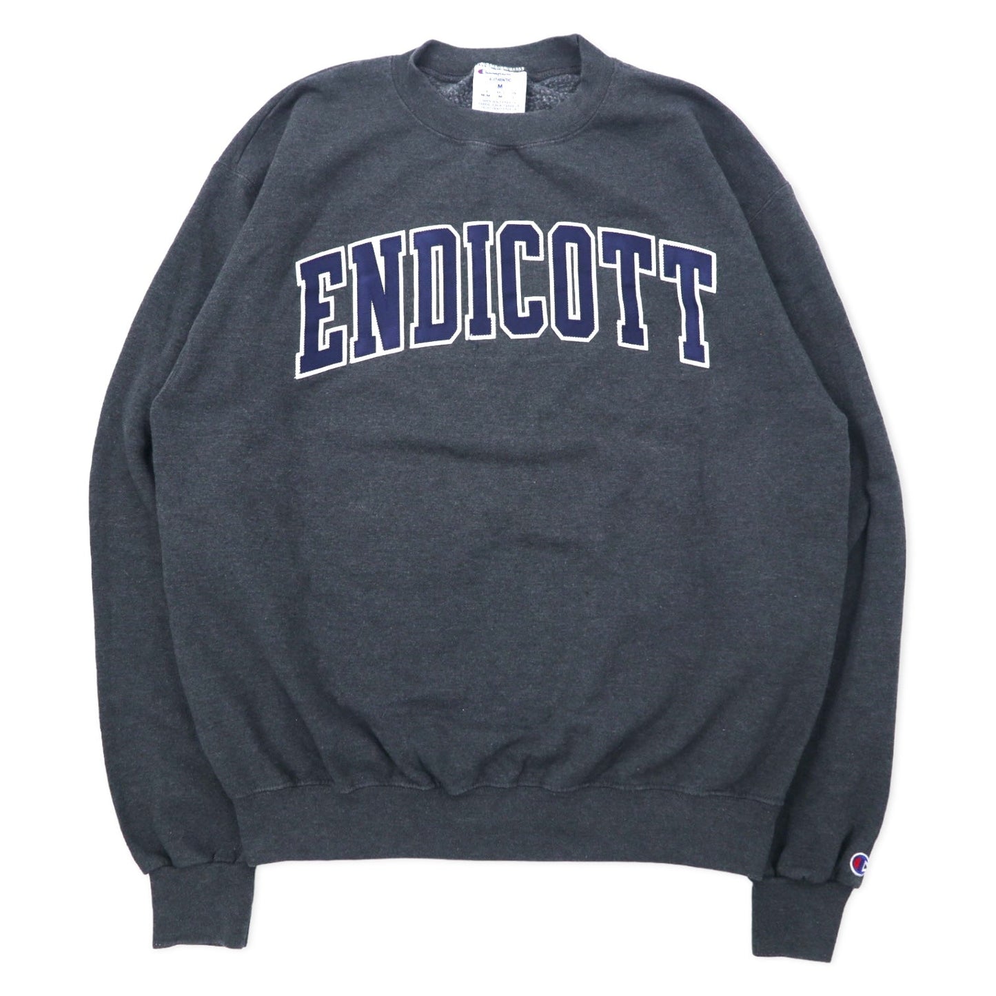 Champion ECO College Embroidered Sweatshirt, Size L, Gray Cotton, ENDICOTT Arch Logo
