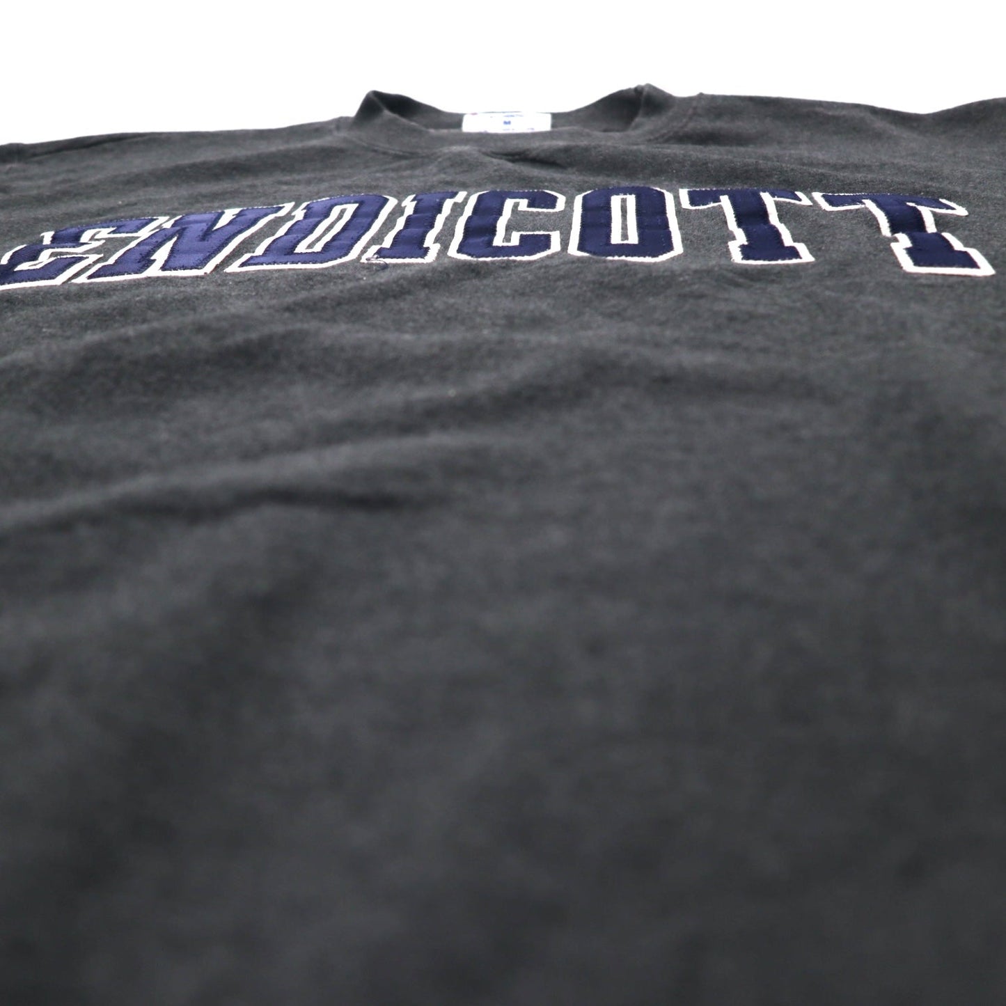 Champion ECO College Embroidered Sweatshirt, Size L, Gray Cotton, ENDICOTT Arch Logo