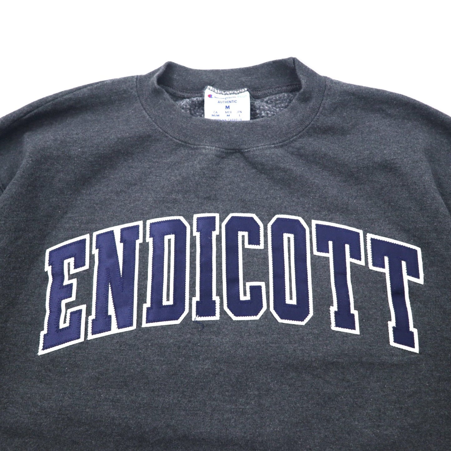 Champion ECO College Embroidered Sweatshirt, Size L, Gray Cotton, ENDICOTT Arch Logo