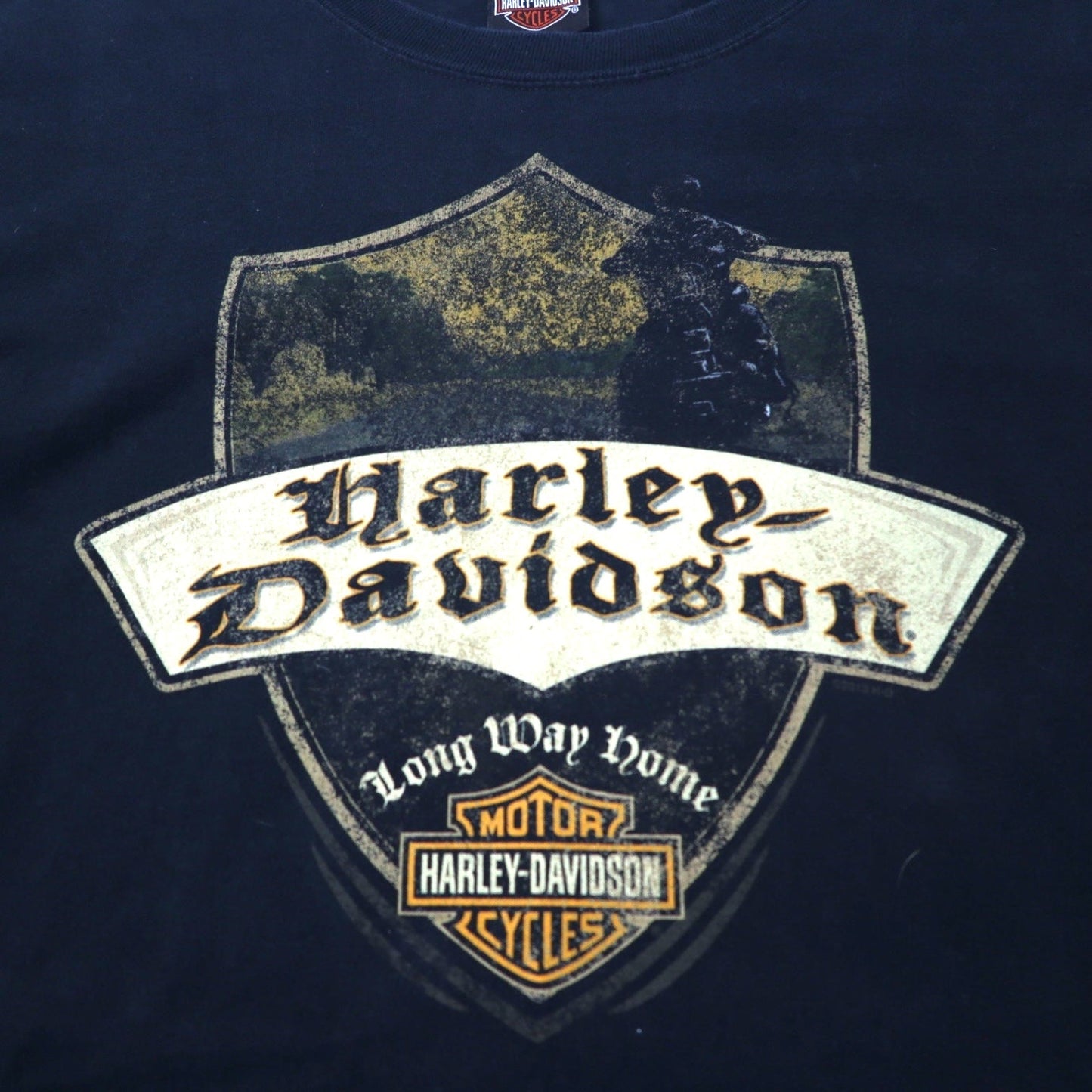 HARLEY DAVIDSON logo print T-shirt, XL, black cotton, Hanes BEEFY-T, big size, THUNDER TOWER