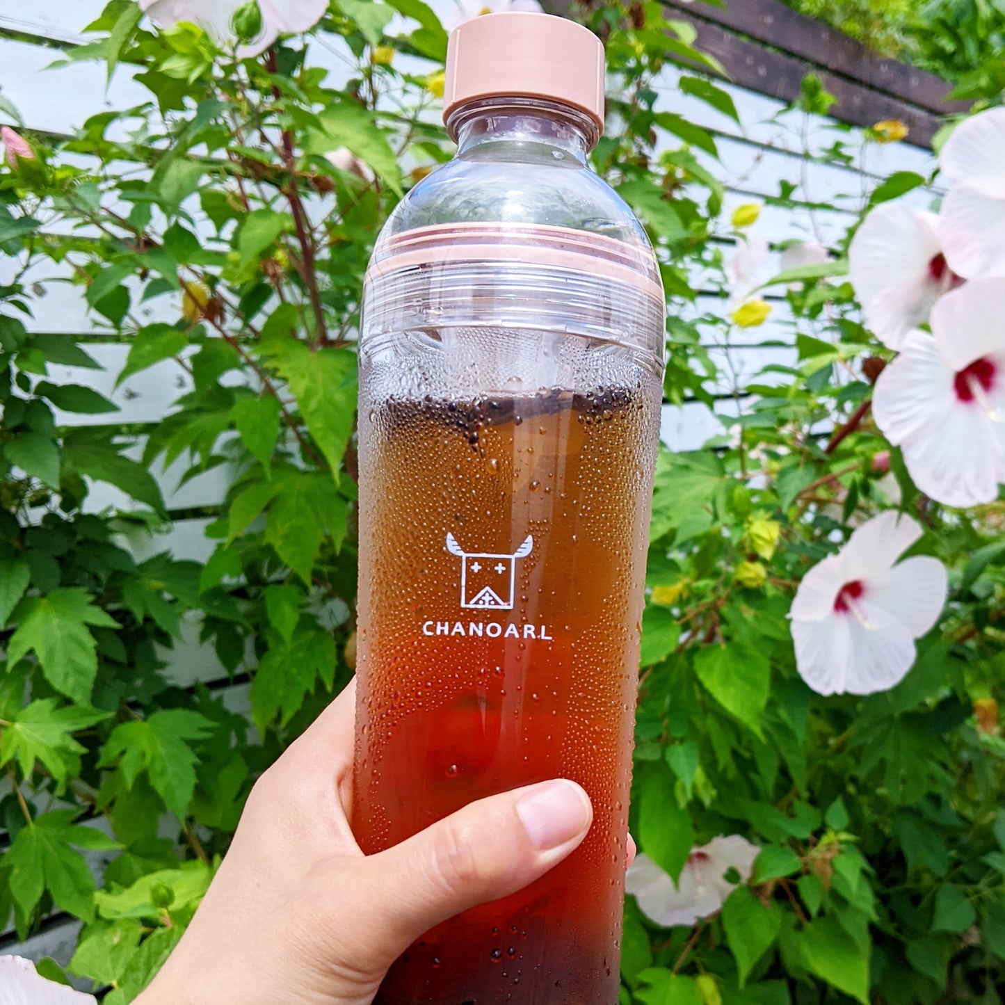 CHANOARL プレミアム八女茶「華香る紅茶」ティーバッグ