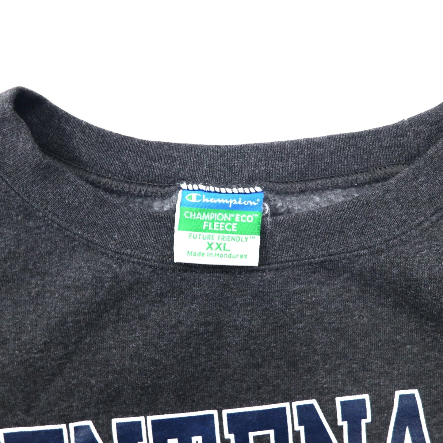 Champion College Print Sweatshirt, XXL, Gray, Cotton, Brushed Lining, Centenary College, Oversized, Made in Honduras