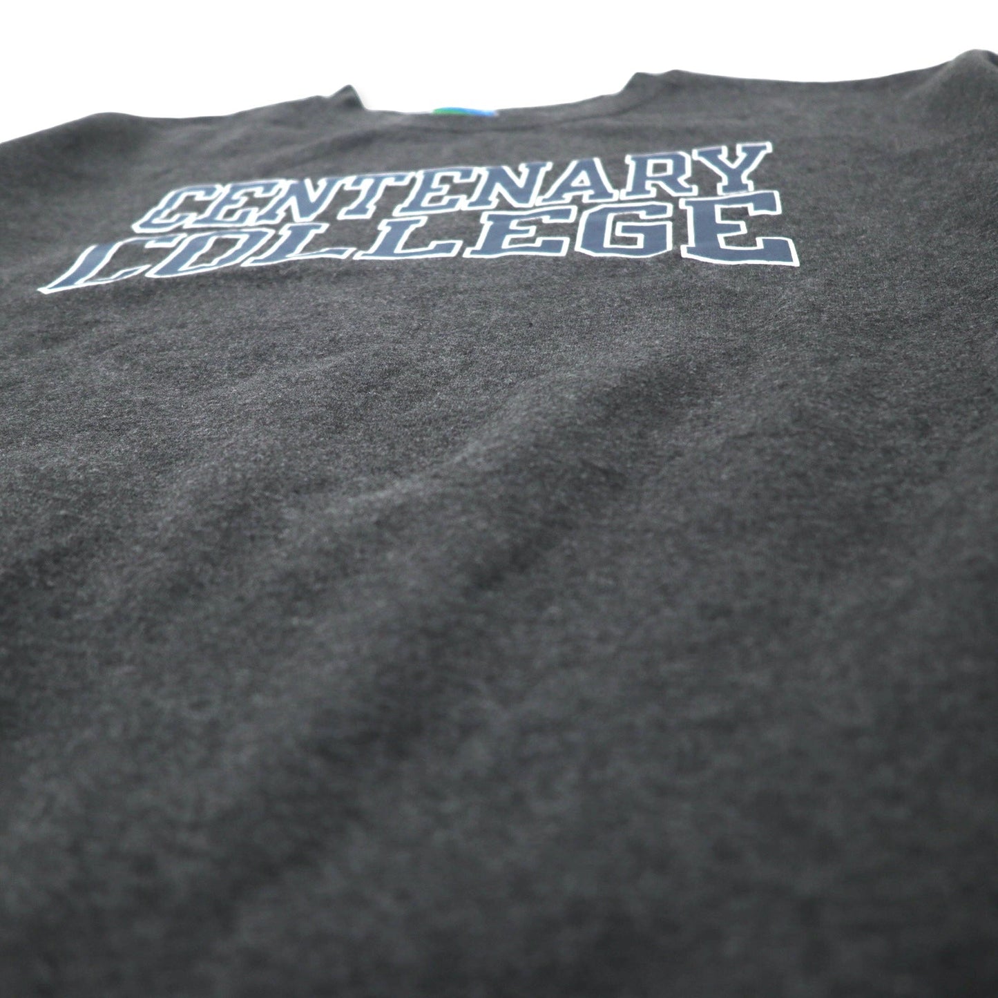 Champion College Print Sweatshirt, XXL, Gray, Cotton, Brushed Lining, Centenary College, Oversized, Made in Honduras