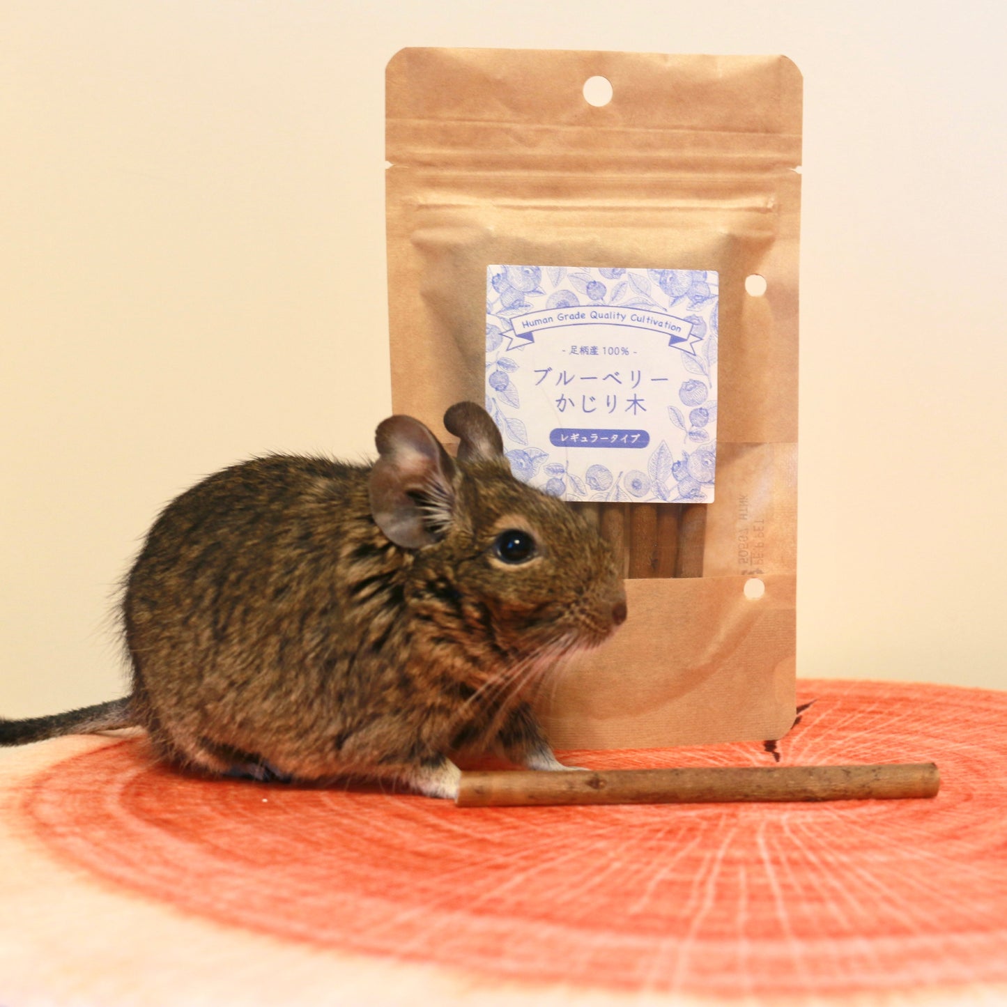 足柄産100%　香るブルーベリーのかじり木＜30g＞