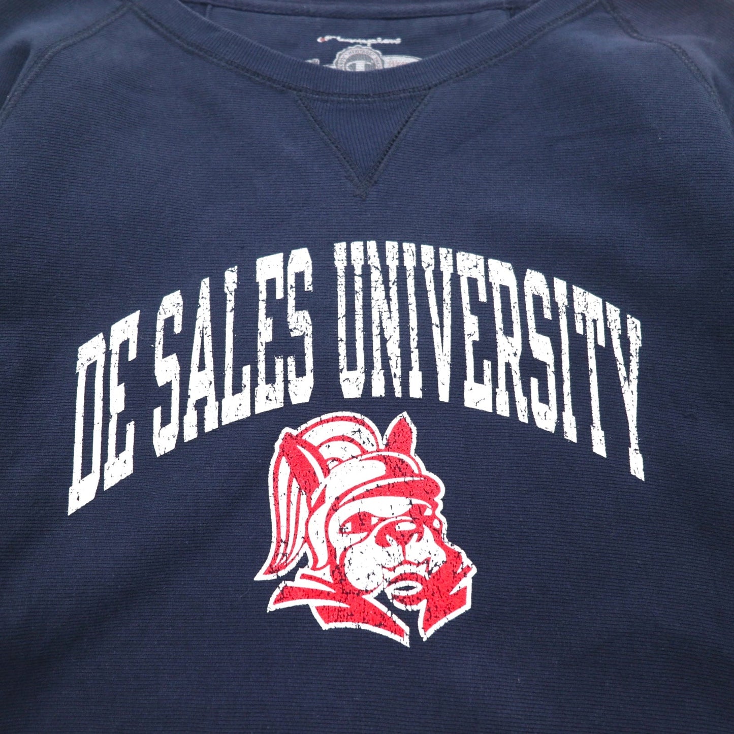 Champion リバースウィーブ REVERSE WEAVE カレッジ スウェット M ネイビー DE SALES UNIVERSITY アーチロゴ 前V