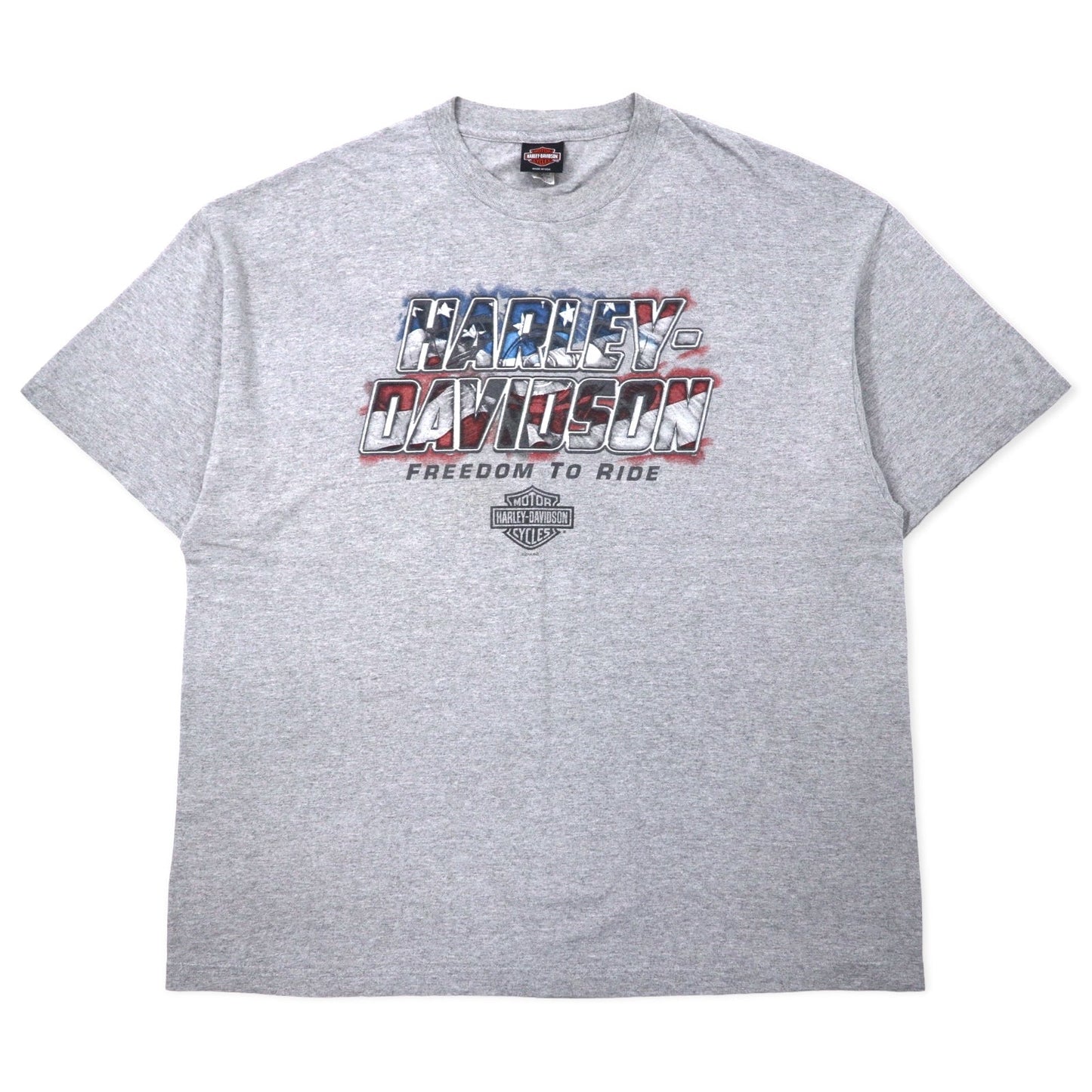 HARLEY DAVIDSON Made in USA Logo Print T-Shirt, Size 2XL, Gray Cotton, Leesburg-Florida