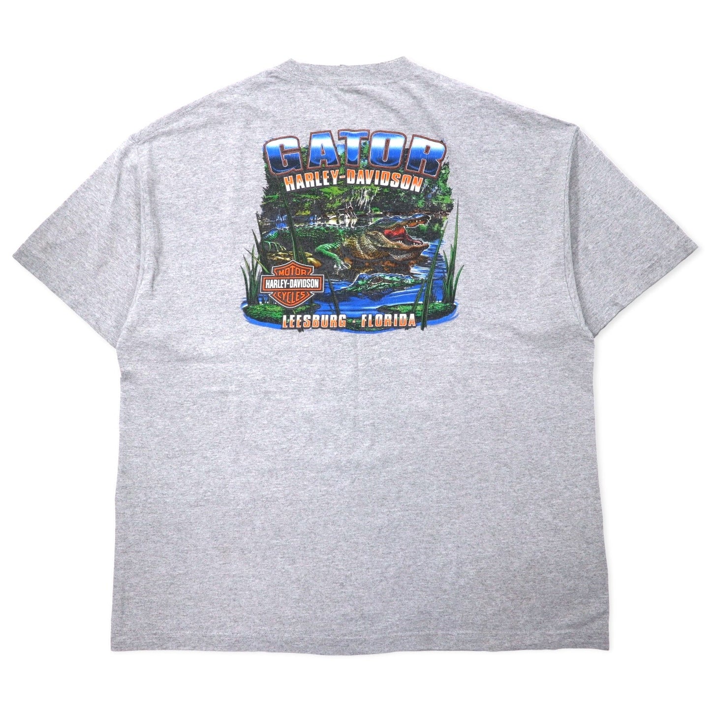 HARLEY DAVIDSON Made in USA Logo Print T-Shirt, Size 2XL, Gray Cotton, Leesburg-Florida