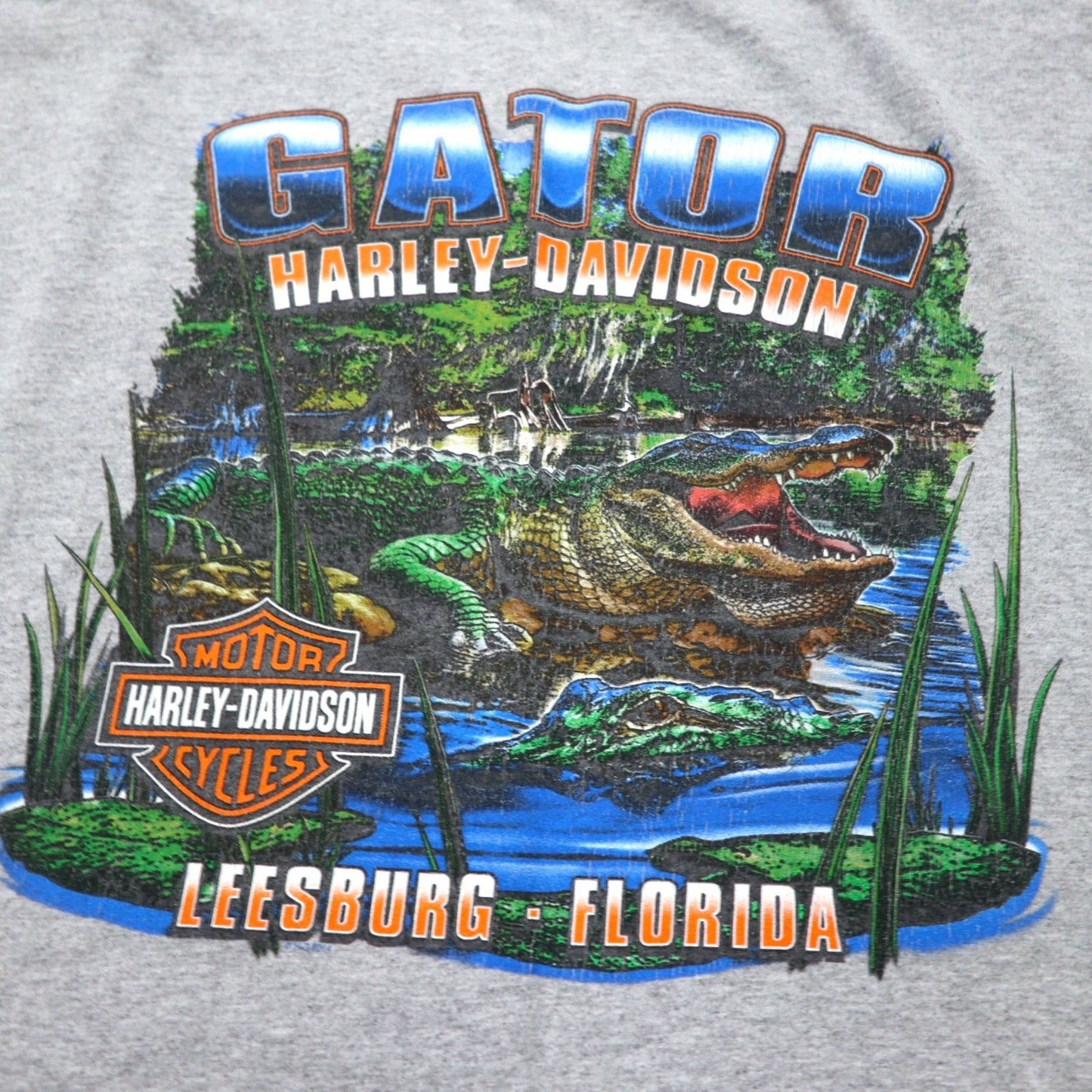 HARLEY DAVIDSON Made in USA Logo Print T-Shirt, Size 2XL, Gray Cotton, Leesburg-Florida