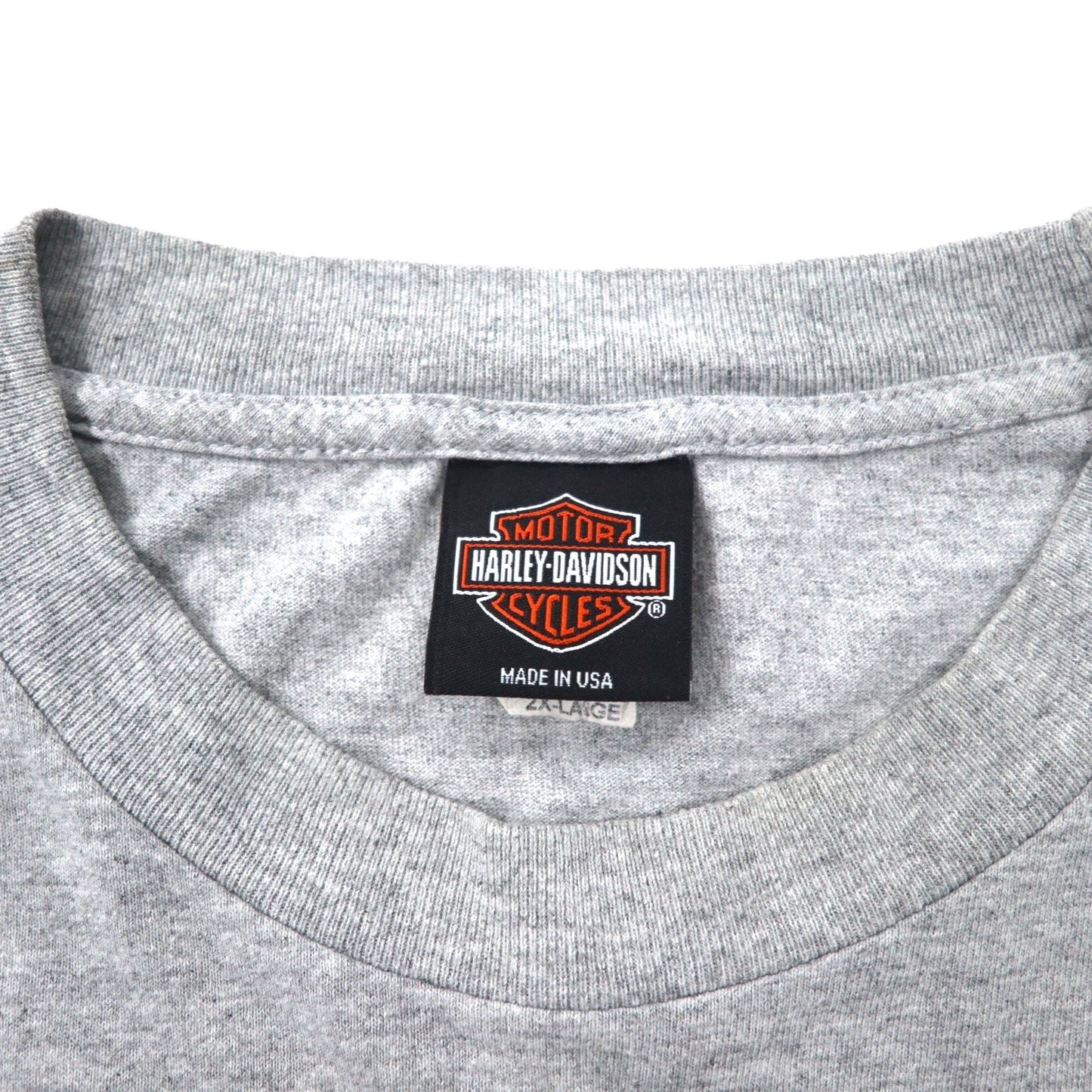 HARLEY DAVIDSON Made in USA Logo Print T-Shirt, Size 2XL, Gray Cotton, Leesburg-Florida
