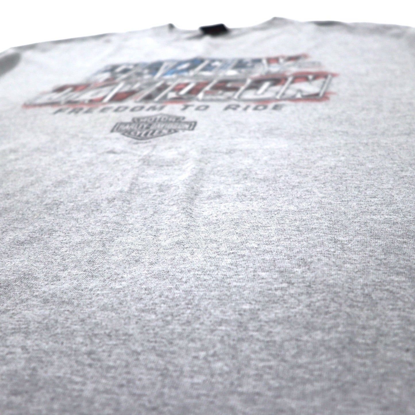 HARLEY DAVIDSON Made in USA Logo Print T-Shirt, Size 2XL, Gray Cotton, Leesburg-Florida