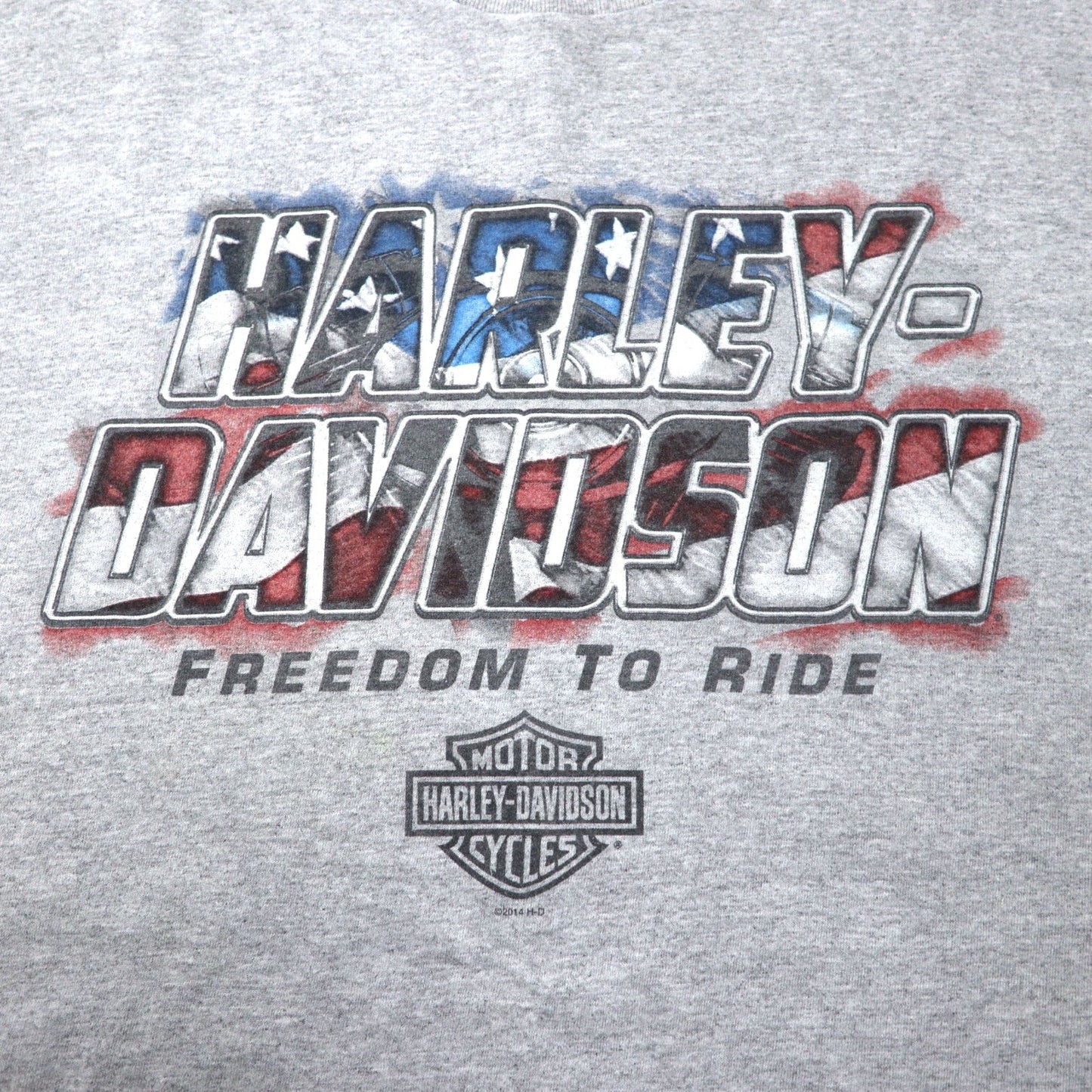 HARLEY DAVIDSON Made in USA Logo Print T-Shirt, Size 2XL, Gray Cotton, Leesburg-Florida