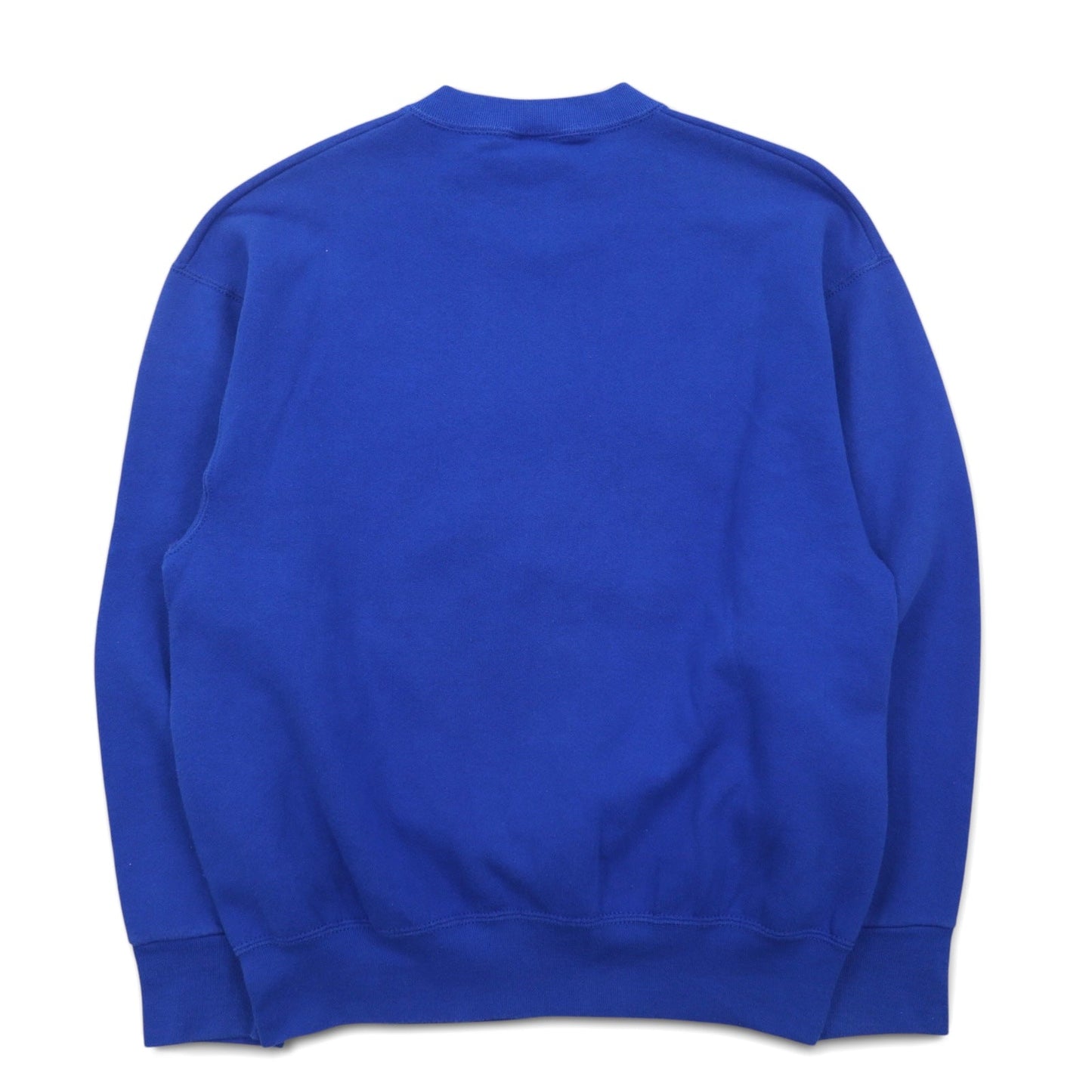 Made in USA, 90s Salem Sportswear Print Sweatshirt, Medium, Blue, Kentucky, Fleece-Lined