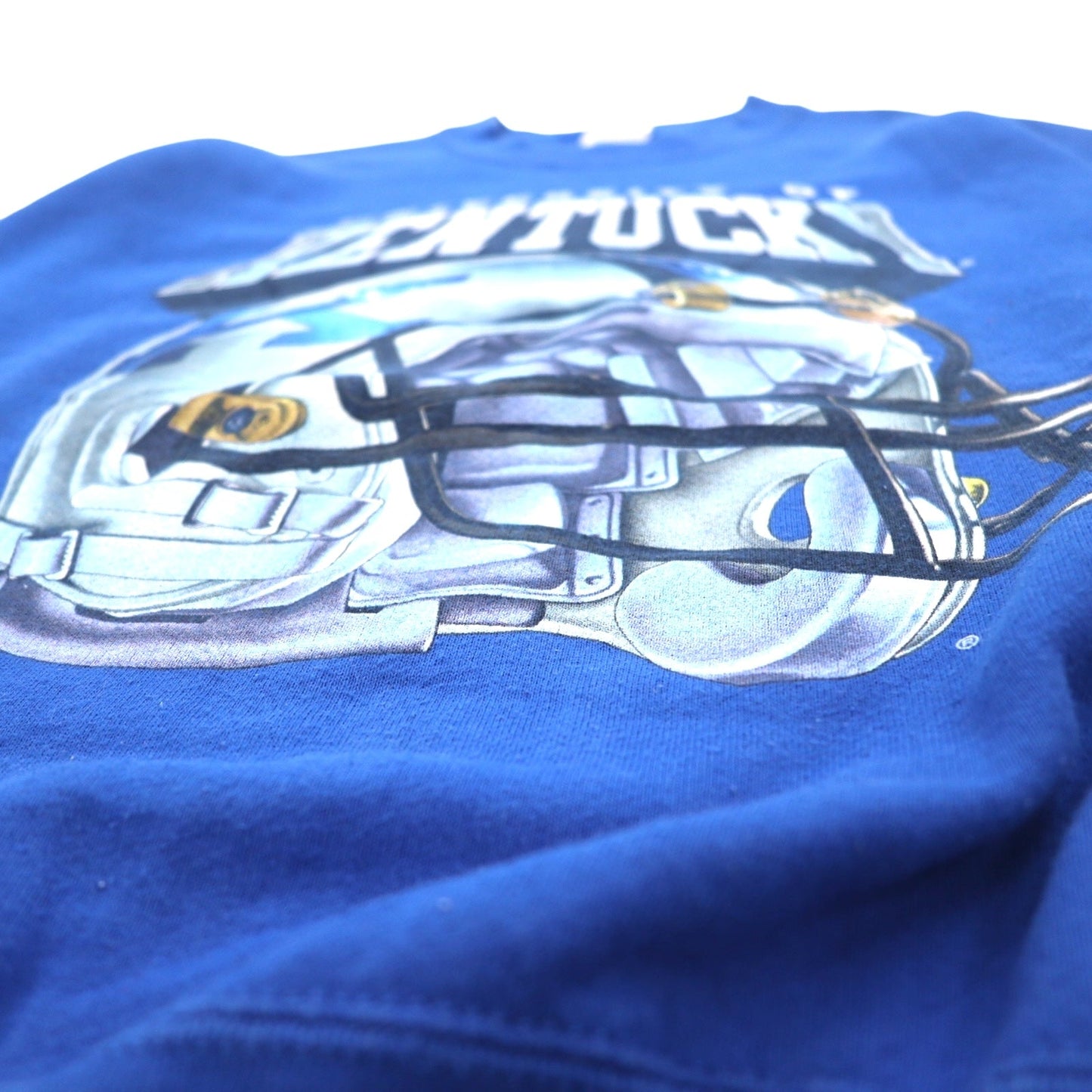 Made in USA, 90s Salem Sportswear Print Sweatshirt, Medium, Blue, Kentucky, Fleece-Lined