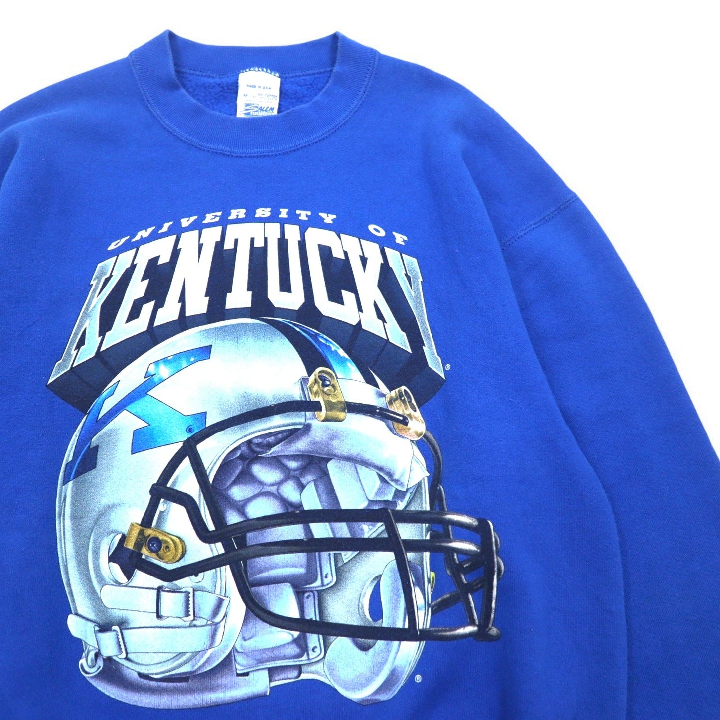 Made in USA, 90s Salem Sportswear Print Sweatshirt, Medium, Blue, Kentucky, Fleece-Lined