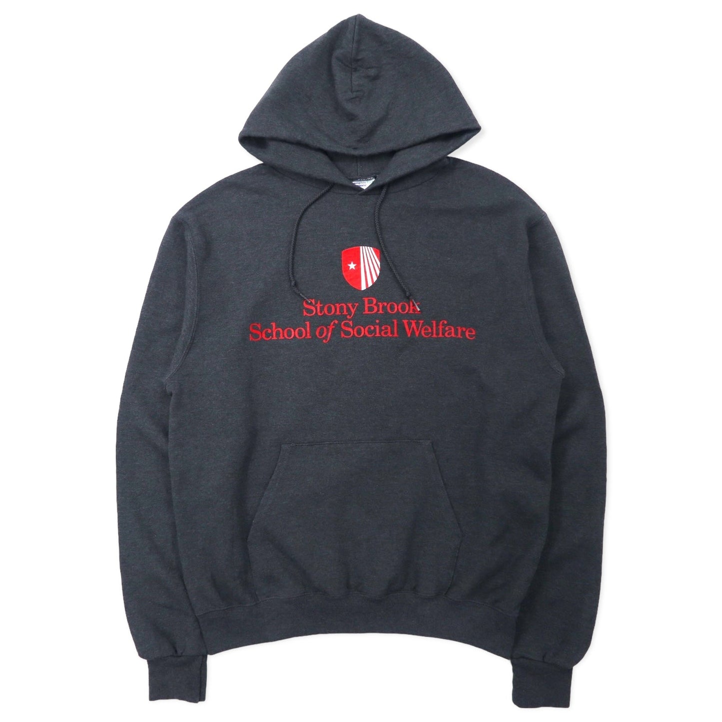 Champion ECO College Pullover Hoodie, Large, Gray, Cotton, Fleece-Lined, Stony Brook School of Social Welfare, Plus Size
