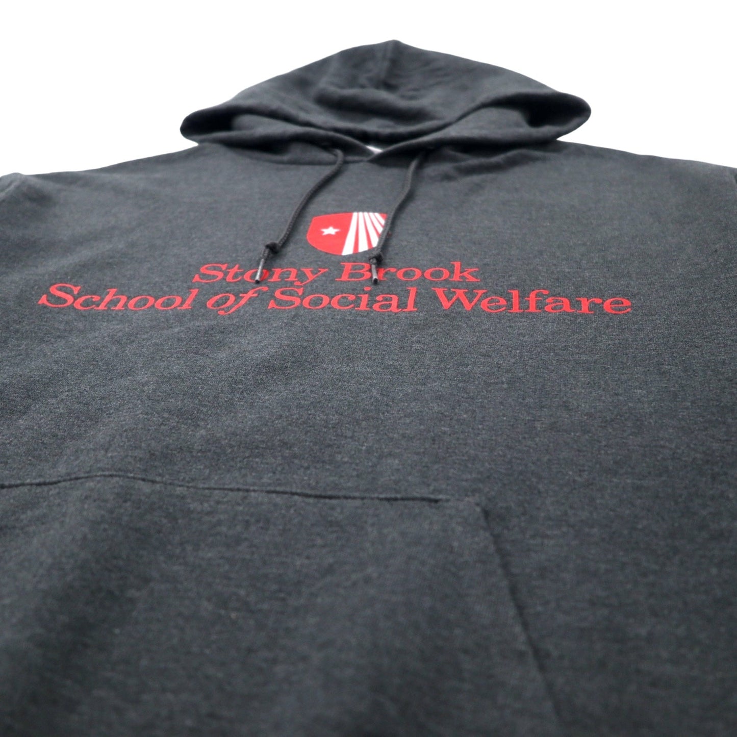 Champion ECO College Pullover Hoodie, Large, Gray, Cotton, Fleece-Lined, Stony Brook School of Social Welfare, Plus Size