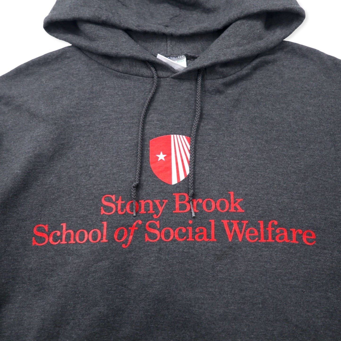 Champion ECO College Pullover Hoodie, Large, Gray, Cotton, Fleece-Lined, Stony Brook School of Social Welfare, Plus Size