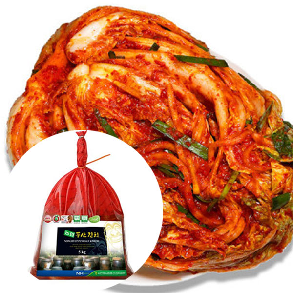 【予約販売】農協 白菜キムチ5kg （注文日から約2週間後出荷）