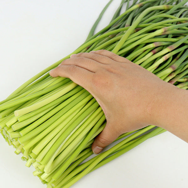 【自家製】茎ニンニクの辛味噌漬け 500g (マヌルジョン・にんにくの芽)