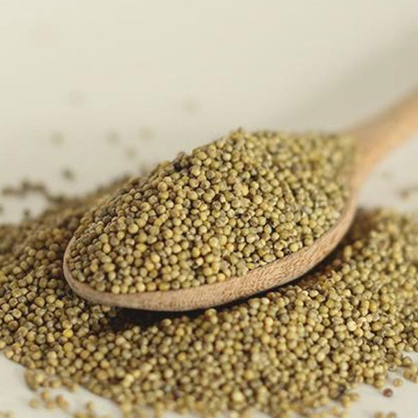 【長寿洋行】もちあわ（チャゾ）700g 韓国産 クセがない もちもち食感