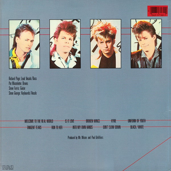 Mr. Mister - Welcome To The Real World (Vinyl, LP, Album, Reissue, Stereo) Very Good Plus (VG+) / Very Good (VG)