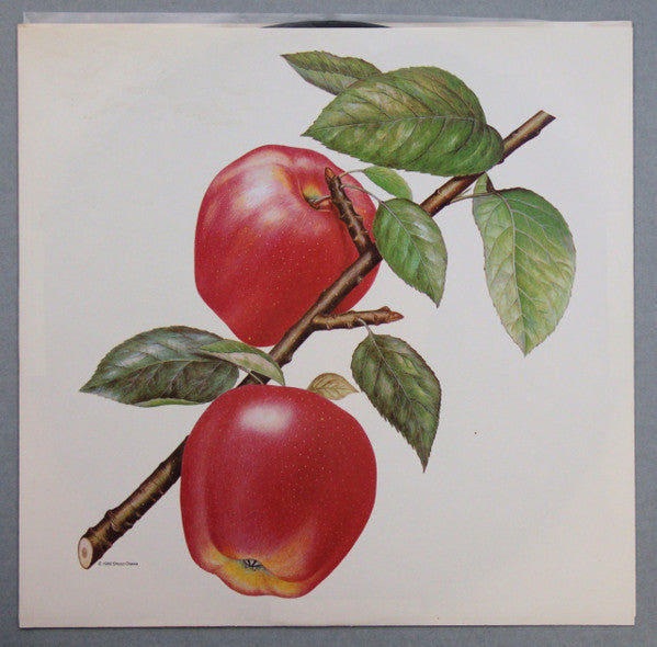 The Rolling Stones - Undercover (Vinyl, LP, Album, Stereo) Good Plus (G+) / Very Good (VG)
