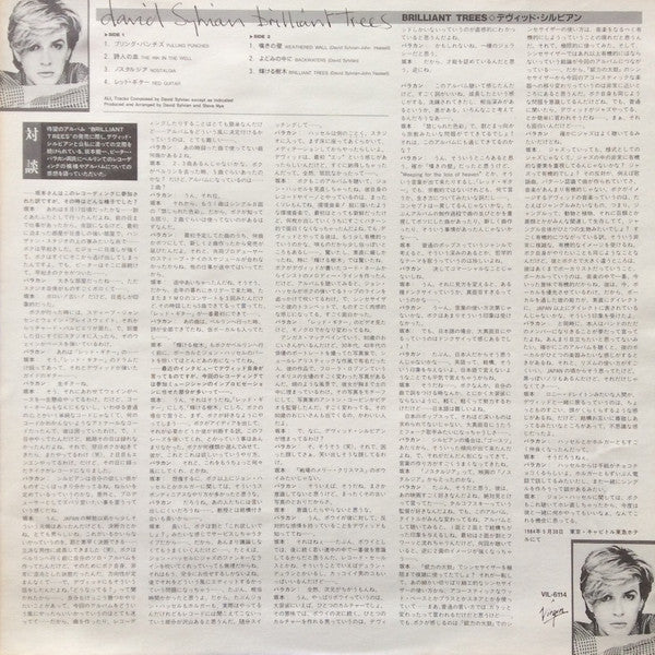David Sylvian - Brilliant Trees (Vinyl, LP, Album)