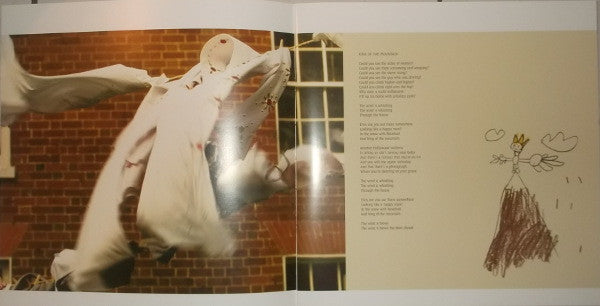 Kate Bush - Aerial (2xVinyl, LP, Album) Very Good Plus (VG+) / Near Mint (NM or M-)