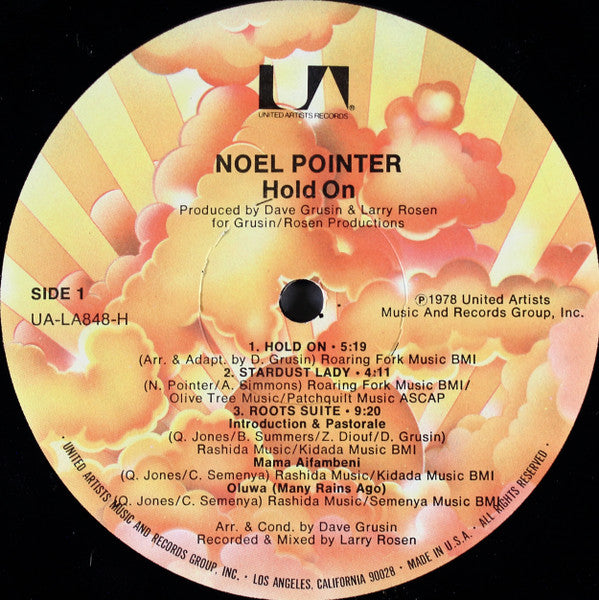 Noel Pointer - Hold On (Vinyl, LP, Album, Stereo) Very Good Plus (VG+) / Very Good Plus (VG+)