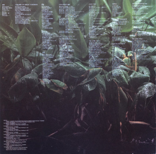 Yukihiro Takahashi - Tomorrow's Just Another Day (Vinyl, LP, Album) Very Good (VG) / Good Plus (G+)
