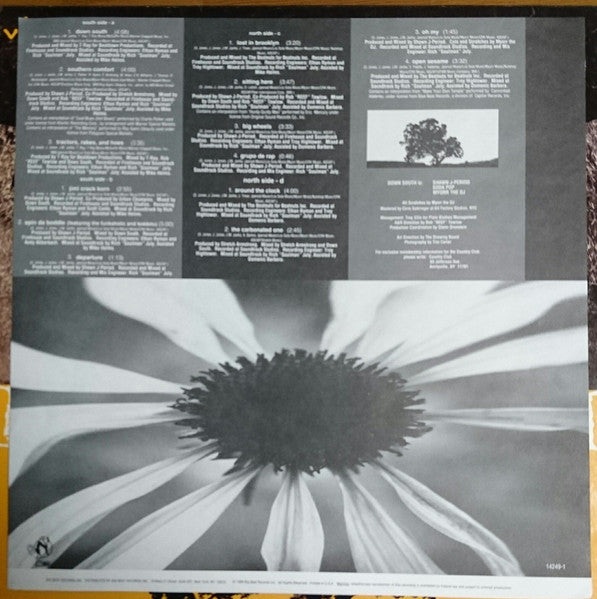 Down South - Lost In Brooklyn (2xVinyl, LP, Album) Mint (M) / Mint (M)