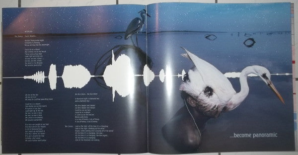 Kate Bush - Aerial (2xVinyl, LP, Album) Very Good Plus (VG+) / Near Mint (NM or M-)