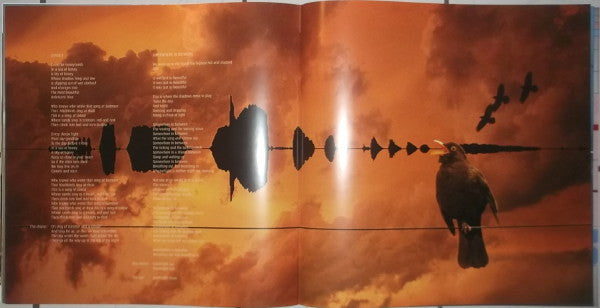 Kate Bush - Aerial (2xVinyl, LP, Album) Very Good Plus (VG+) / Near Mint (NM or M-)