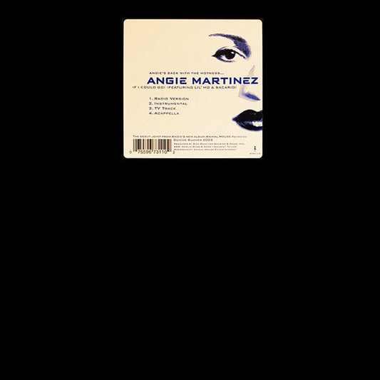 Angie Martinez - If I Could Go (Vinyl, 12", 33 ⅓ RPM, Stereo) Very Good Plus (VG+) / Very Good (VG)